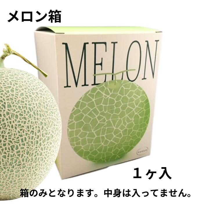 フレデリメロン 1ケ入 メロン箱 信和 【10枚】外寸:横150×縦150×高195mm  ギフト ギフト箱 贈答 贈答箱 出荷 発送 取っ手なし テイクアウト 青果 果樹 販売 ケース 箱 イラスト メロン用 メロンの箱 フルーツ用 フルーツギフト用 果物用 ギフトボックス 箱