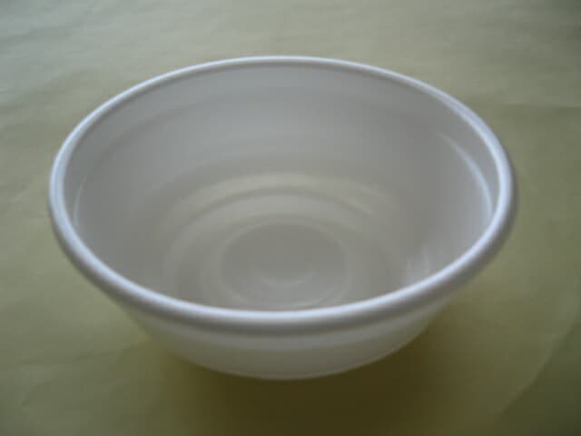 【本体のみ】発泡 どんぶり 中 身 白 【25枚】 中央化学 本体:直径150×高さ58mm 発泡ポリスチレン テイクアウト容器 丼 どんぶり 容器 パック 使い捨て テイクアウト お持ち帰り 発泡 業務用 プロ用 デリバリー 宅配 使い捨て食器 使い捨て皿 器