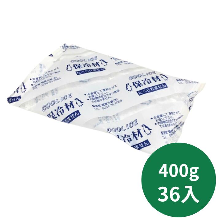 保冷剤 ナイロン CI 400 【36入】 150×220mm 菅原冷蔵 保冷 冷凍 蓄冷剤 400g 刺し身用 鮮魚 刺身 アイス テイクアウト 鮮度 仕出し 料理 生もの 切り身 輸送 発送 贈答