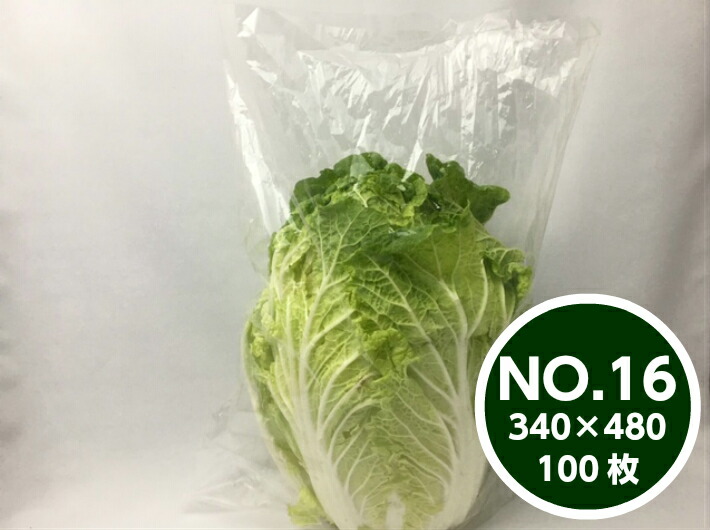 【オリジナル】 OPPボードン #25 NO.16 0.025×340×480mm 【4穴】【100枚】 プラマークなし 特大 白菜 16番 防曇 防曇袋 大きい 鮮度 包む 新鮮 結露防止 透明 直売所 販売 野菜 農作物