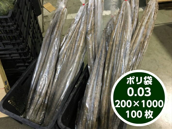 【オリジナル】ポリ袋 0.03×200×1000mm【100枚】　長物 ポリ 透明 長人参 農家 土付きねぎ 長ネギ 土ねぎ 真鱈 鮭 葱 牛蒡 0.03 200×1000 ビニール ビニール袋 業務用 プロ 包装 平袋 保存 収納 保管 日本製