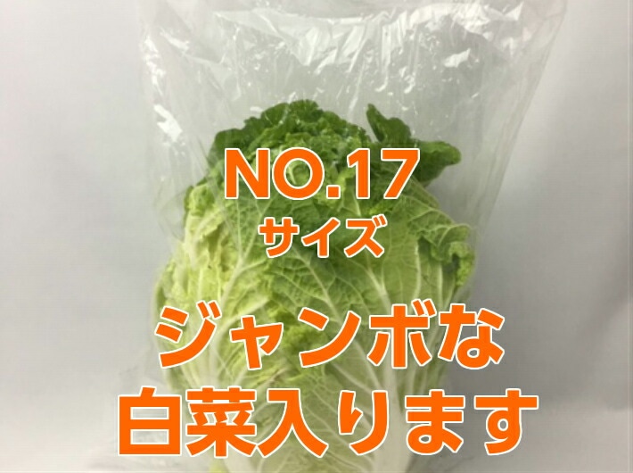 OPPボードン袋（野菜出荷用)#25 160×450 3000枚 OPP防曇袋(野菜袋),OPP防曇袋_規格0.025mm穴あり | ふくろや公式通販