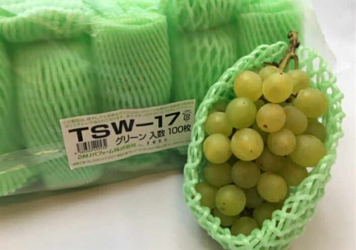 バイオ フルーツキャップ TSW-17 グリーン 緑 【ダブル】 17cm 【100個