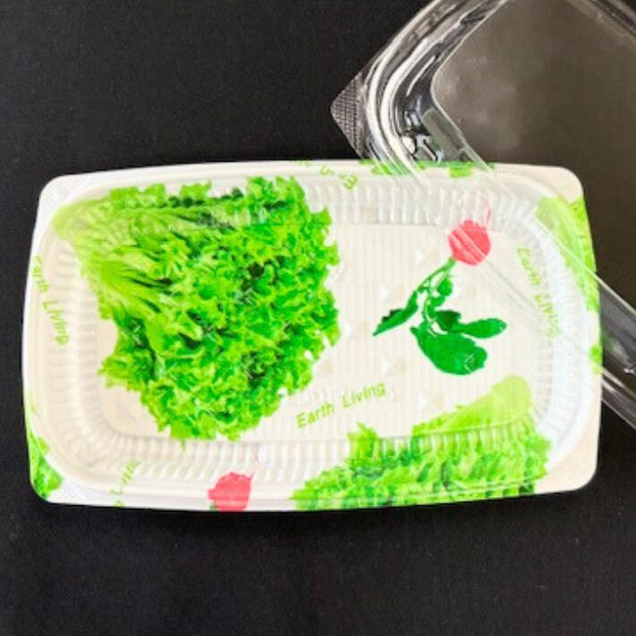 サラダ 柄入り 容器 【セット】BF エコD18-11C サラダ 透明蓋 セット【50枚】180×108×17(蓋14)mm シーピー化成 テイクアウト容器 弁当 使い捨て テイクアウト 料理 お持ち帰り 業務用 宅配 おしゃれ 使い捨て食器 使い捨て皿 器