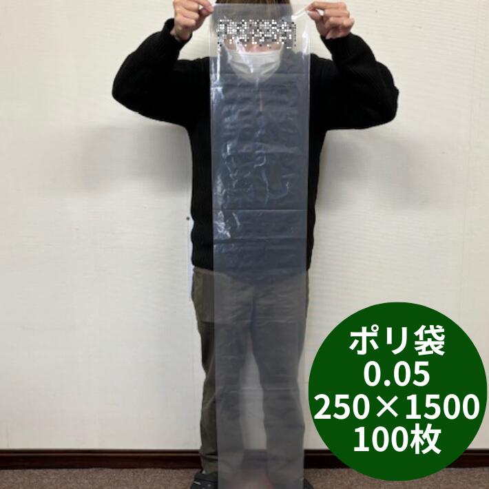 【オリジナル】ポリ袋 0.05×250×1500mm【100枚】 長物 ポリ 厚手 透明 新巻鮭 新巻 鮭 冷凍保存 保存 土ねぎ2kg ネギ ゴボウ 長人参 農家 土付きねぎ 長ネギ 漁業 0.05 250×1500 ビニール袋 日本製