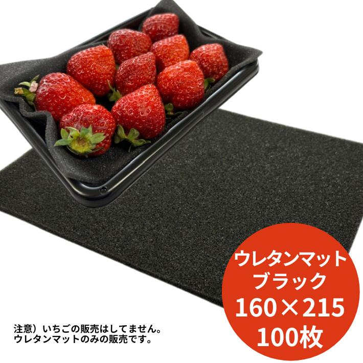 【オリジナル】ブラック 発泡ウレタン シート 4×160×215mm 100枚 厚み 4mm いちごシート クッション 使い捨て 黒 いちご 苺 フルーツマット 果樹マット 果実マット 緩衝材 保護材 輸送 クッション材 衝撃 保護 グラス ガラス コップ 発送 ネット ウレタン 発泡
