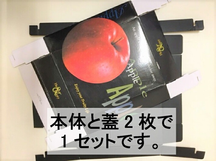 段ボール りんご箱 F・A りんご 3kg【10枚】 内寸:260×370×高さ105mm