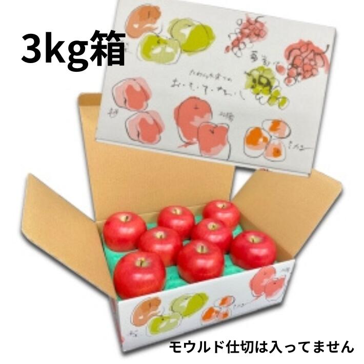 10枚】フルーツ箱 おもてなし箱一体型 3DX 1束 10枚 内寸:横365×縦260