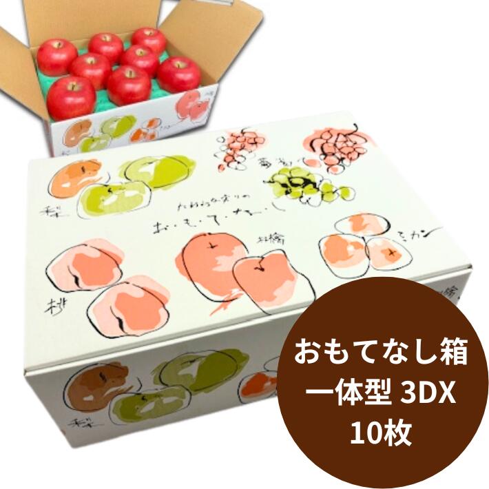 10枚】フルーツ箱 おもてなし箱一体型 3DX 1束 10枚 内寸:横365×縦260