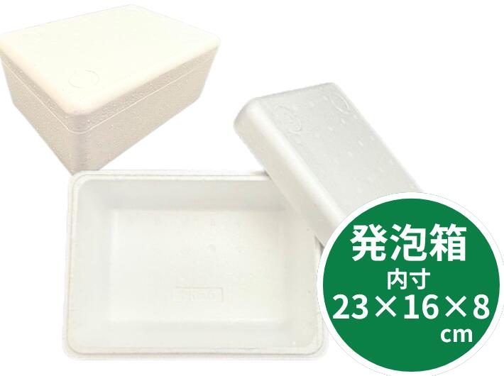 発泡ボックス TK-5 蓋付セット 保冷 ボックス 内寸230×160×80mm 発泡箱 保冷箱 クールBOX 保冷 発泡 保存 ボックス箱  軽い 釣り アイス ジュース 缶 キャンプ ※保冷剤は別売り 外寸258×188×94(本体120)mm