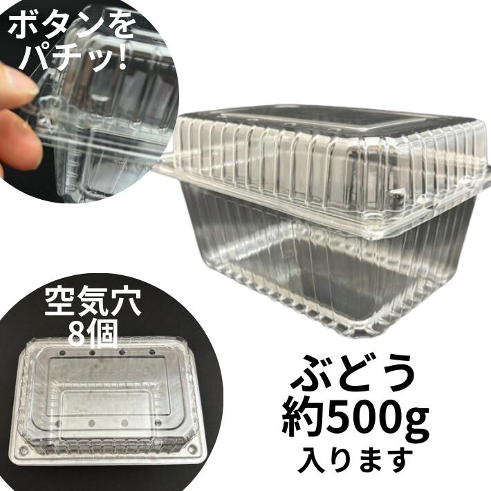 フルーツ 600 8H 穴8個 ボタン嵌合【50枚】 180(160)×130(110)×本体70+蓋30mm 信和 A-PET ぶどう 約500g 蓋付 果樹 果物 容器 透明 フルーツ ケース プラスチック 桃 ギフト 葡萄 供物 お供え 盛り合わせ 詰め合わ