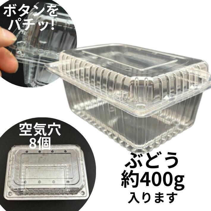 フルーツ 530 8H 穴8個 ボタン嵌合【50枚】 180(160)×130(110)×本体60+蓋20mm 信和 A-PET ぶどう 約400g 蓋付 果樹 果物 容器 透明 フルーツ ケース プラスチック 桃 ギフト 葡萄 供物 お供え 盛り合わせ 詰め合わ