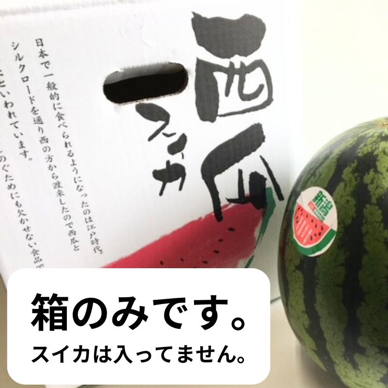 バラ】【段ボール箱】スイカ箱 特大 1ケ入【10枚】大玉 すいか用