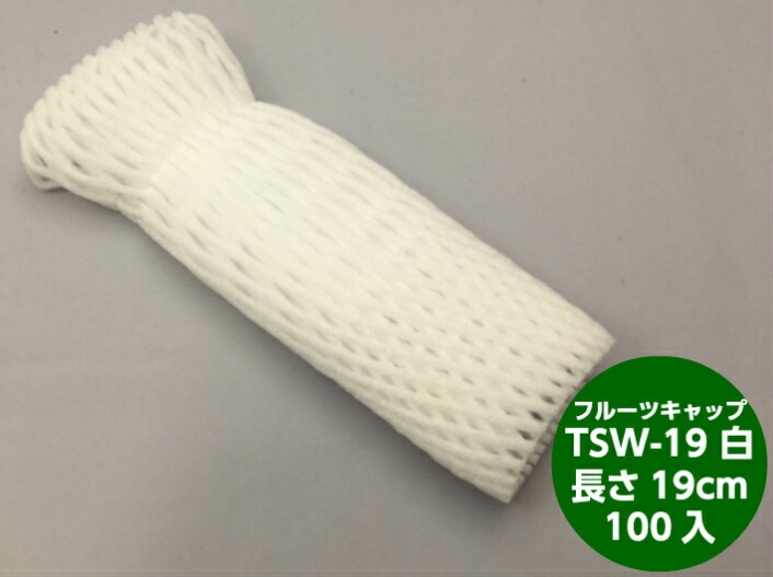 【特大】バイオ フルーツキャップ TSW-19 白 【ダブル】19cm 【100個】バイオプラスチック 果物 緩衝材 保護材 発泡 ネット メロン マスカット シャインマスカット ぶどう 梨 小玉 すいか 西瓜 キャップ フルーツ 網 輸送 衝撃 守る 保護 振動 ピオーネ