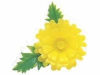 【袋単位】ミニ菊 造花 50個/袋 小分け サイズ:45×45mm A-61 お刺身 刺身 豆 菊 プラスチック ※食べられません