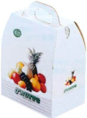 フルーツ箱 エレガント G-2 1袋 10枚 外寸:横265×縦175×高380（325）mm 信和  フルーツボックス フルーツBOX フルーツ 果物 ギフト ギフト箱 贈答 進物用 ボックス 箱 テイクアウト 業務用 青果店 イベント G2