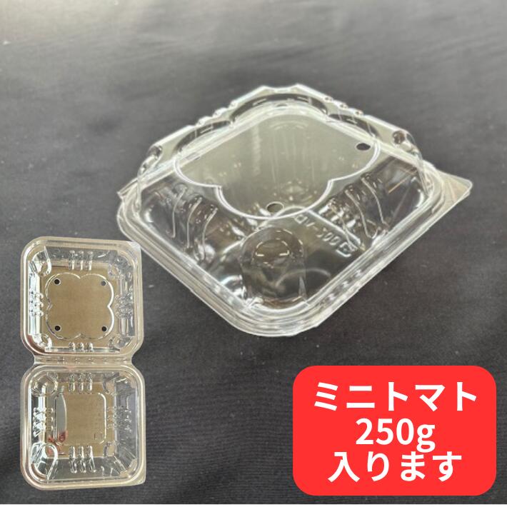 ミニトマト 容器 クローバー 200 穴4個 【100枚】115(98)×115(98)×62mm 信和 穴あり OPS 嵌合蓋 チェリー 果樹 果物 容器 透明 フルーツ ケース プラスチック いちご 苺 ぶどう さくらんぼ ふきのとう パック
