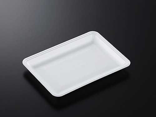 発泡 トレー CN25-18EE （L)【100枚】 248×180×25 mm 中央化学 PSP 白 食品トレー   容器 刺身 惣菜 鮮魚 テイクアウト お持ち帰り 使い捨て レンジ不可 CNトレー CN おしゃれ 使い捨て食器 使い捨て皿 器