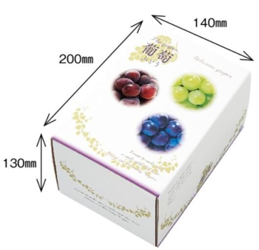 【10枚】3色ブドウ 1kg フルーツ箱 1束 10枚 横200×縦140×高130mm AA6763 蓋コの字型 紙 オリカ ぶどう 葡萄 フルーツボックス フルーツBOX フルーツ 果物 ギフト ギフト箱 贈答 業務用 ラッピング 発送用 テイクアウト