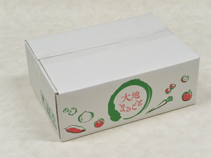 10枚】大地まるごと 3kg 1束 10枚 内寸:210×305×高125mm 外寸:215×310