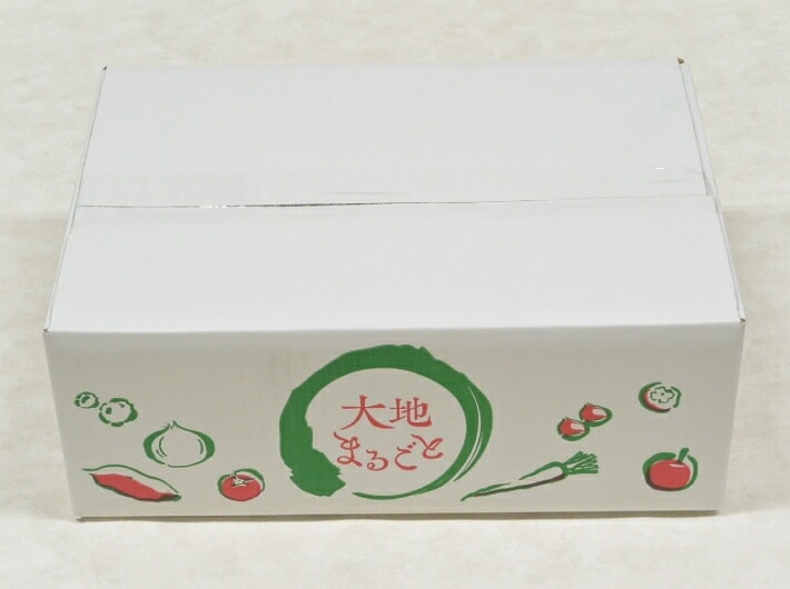 10枚】大地まるごと 3kg 1束 10枚 内寸:210×305×高125mm 外寸:215×310