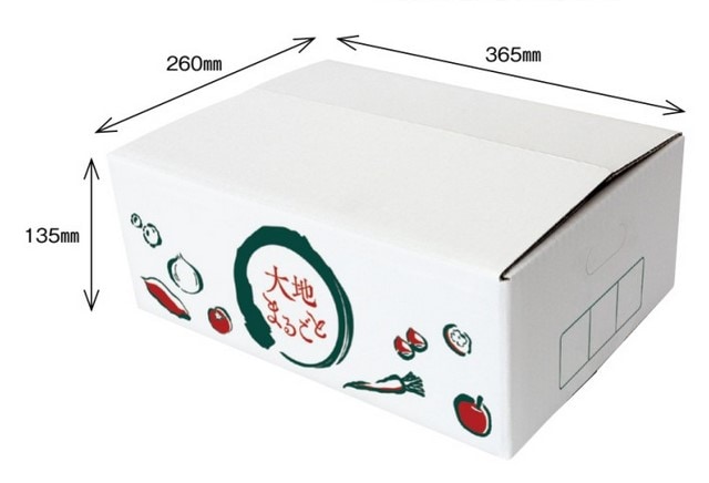 【10枚】大地まるごと 5kg 1束 10枚 内寸:260×365×高135mm 外寸:265×370×高145mm 紙 段ボール オリカ AC3003 野菜 フルーツBOX フルーツ 果物 ギフト ギフト箱 贈答 業務用 ラッピング 篭盛り 盛篭 テイクアウト 詰め合わせ 青果
