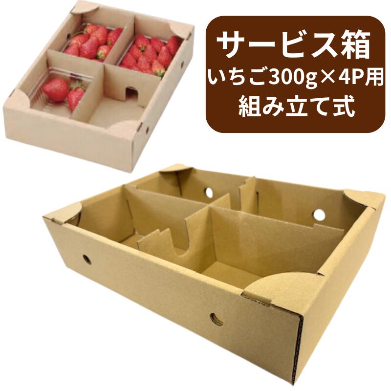 段ボール いちご300g×4Pサービス箱 235×335×80mm 組み立て BOX B段