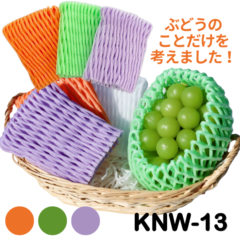 ぶどう向け フルーツキャップ KNW-13 ゴム無 グリーン オレンジ