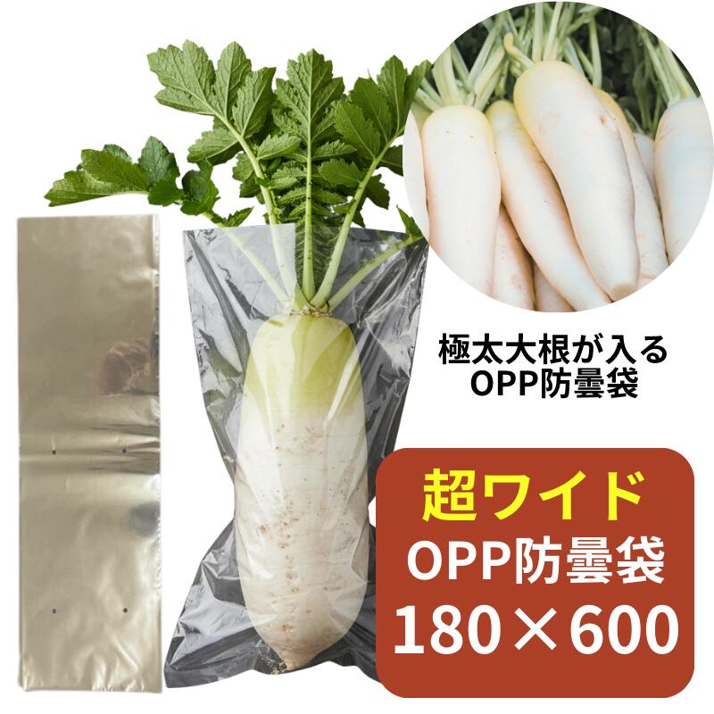 OPP防曇袋(野菜袋),OPP防曇_長物袋 | ふくろや公式通販