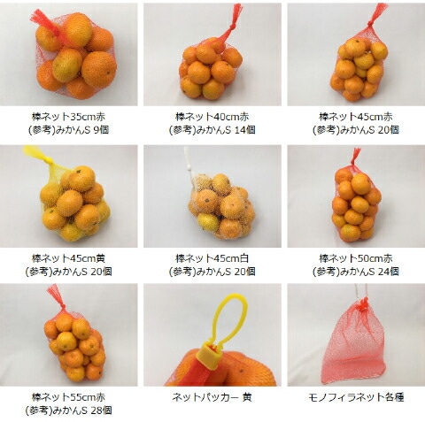 果物 MM 厳選 せとか 皮までどうぞ】 Mサイズ ｜ 果物/オレンジ・その他みかん