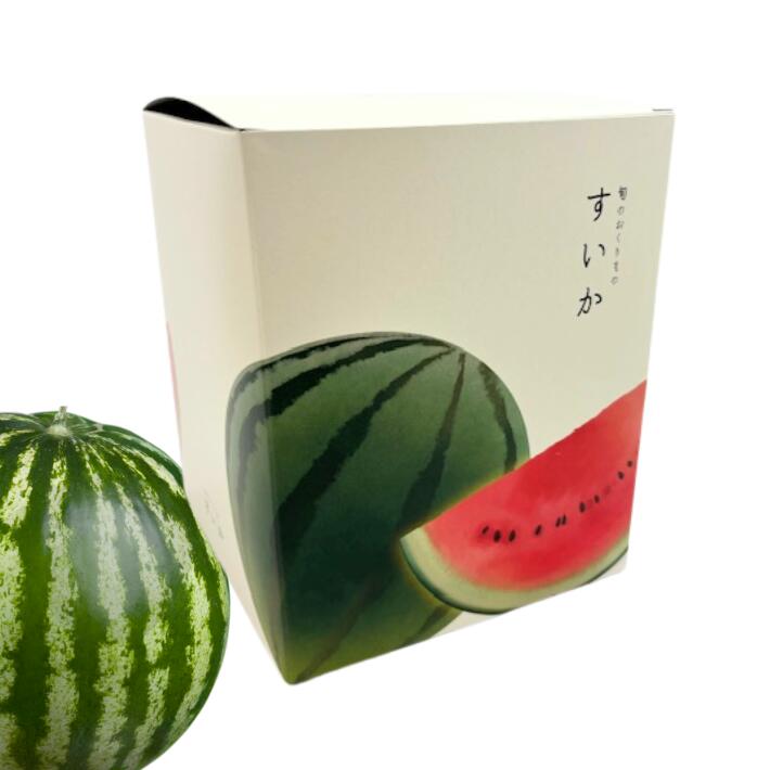 箱のみ】旬スイカ箱 小 1ケ入【10枚】小玉 すいか用 外寸:170×170×高