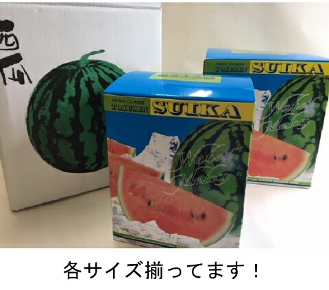 スイカ大手作り額付きマットあり　title「君だけのニャンコ」 スイカ大手作り額付きマットあり title「君だけのニャンコ」