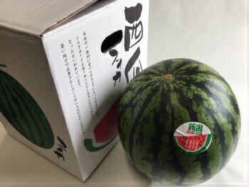 バラ】【段ボール箱】スイカ箱 特大 1ケ入【10枚】大玉 すいか用 BOX