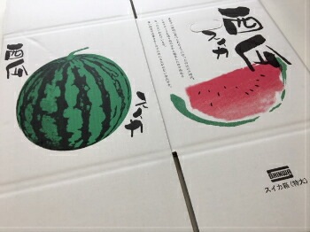 バラ】【段ボール箱】スイカ箱 特大 1ケ入【10枚】大玉 すいか用 BOX