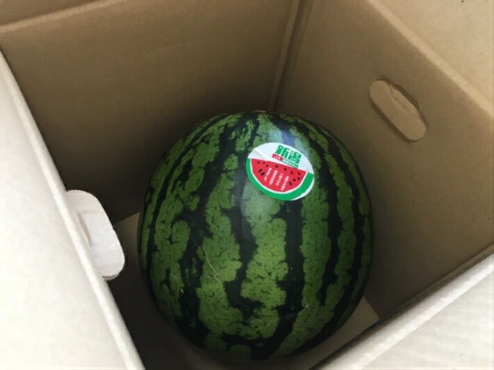 新鮮スイカ2個段ボール箱入り ケース】【段ボール箱】スイカ箱 特大 1ケ入【20枚】大玉 すいか