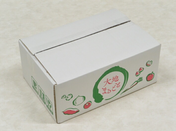 10枚】大地まるごと 3kg 1束 10枚 内寸:210×305×高125mm 外寸:215×310
