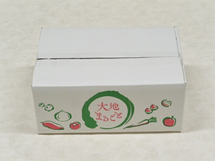 10枚】大地まるごと 3kg 1束 10枚 内寸:210×305×高125mm 外寸:215×310