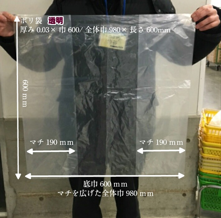 透明 ポリ袋 厚0.03x巾600/全体巾980x長さ600mm【オリジナル】【100