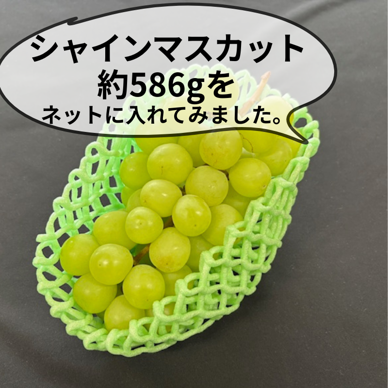 ぶどう向け フルーツキャップ KNW-13 ゴム無 グリーン オレンジ ムラサキ ダブル 13cm 【100個】 バイオプラスチック 果物 緩衝材 保護材 発泡 ネット マスカット シャインマスカット ぶどう 梨 キャップ フルーツ 網 輸送 衝撃 守る 保護 振動 ピオーネ ぶどう600g