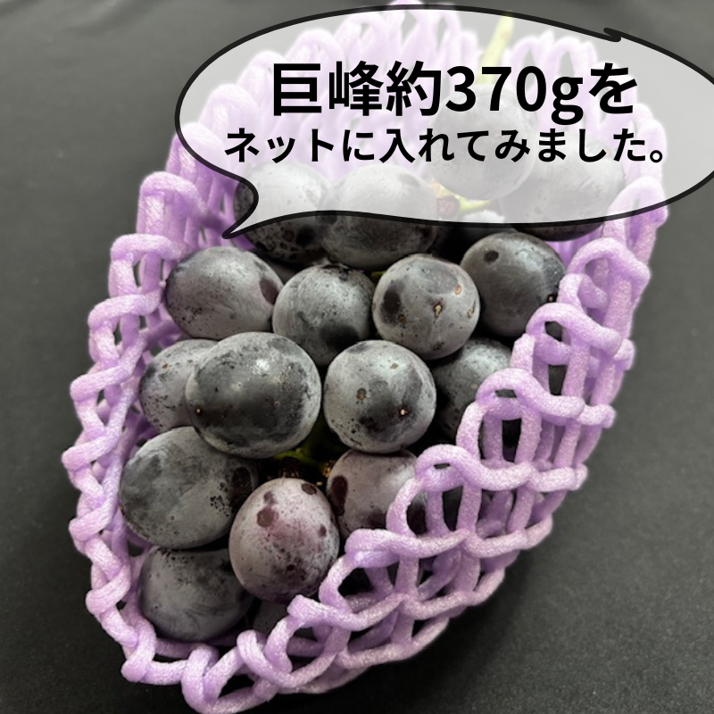 フェイクフルーツ 洋なし ぶどう バラ売りOK◎ 大容量セット