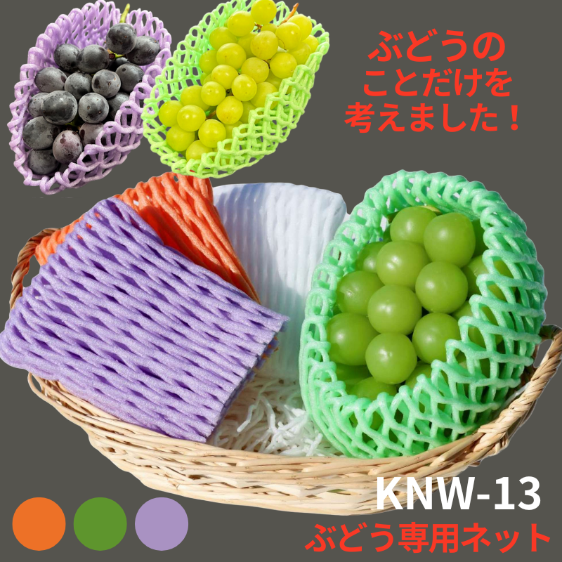 日本製 トップシャイン 100g 2個セット 蔵王高原農園 長野県産シャインマスカットゼリー ( 68g*4個入*12