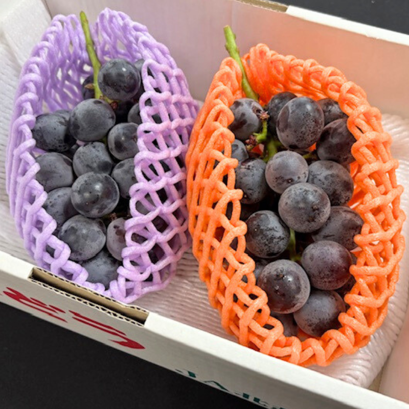 ぶどう向け フルーツキャップ KNW-13 ゴム無 グリーン オレンジ