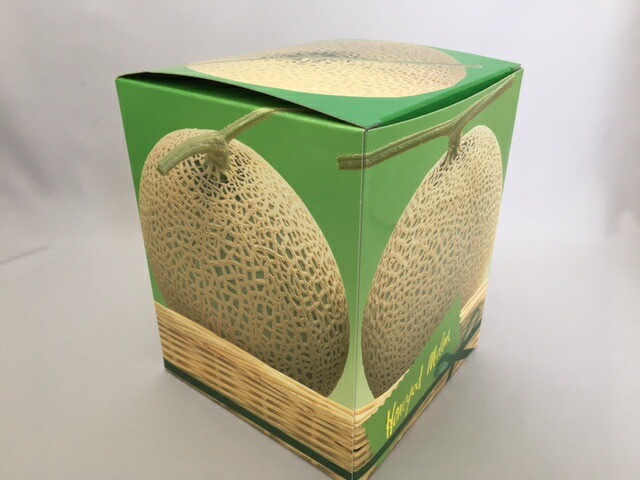 メロン 2024年度事前予約受付中】飯岡メロン 青肉 5Lサイズ×2玉セット