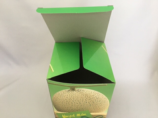 ハニード メロン 1ヶ入 10枚 内寸:縦160×横160×高200 mm 中敷付 オリカ