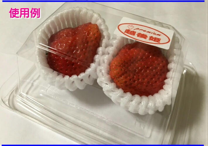 バイオ フルーツキャップ TSW-5 白 【ダブル】5cm 【100個】バイオプラスチック20%配合 果物 緩衝材 保護材 発泡 ネット いちご 苺 キウイ キャップ フルーツ 網 輸送 衝撃 守る 保護 振動