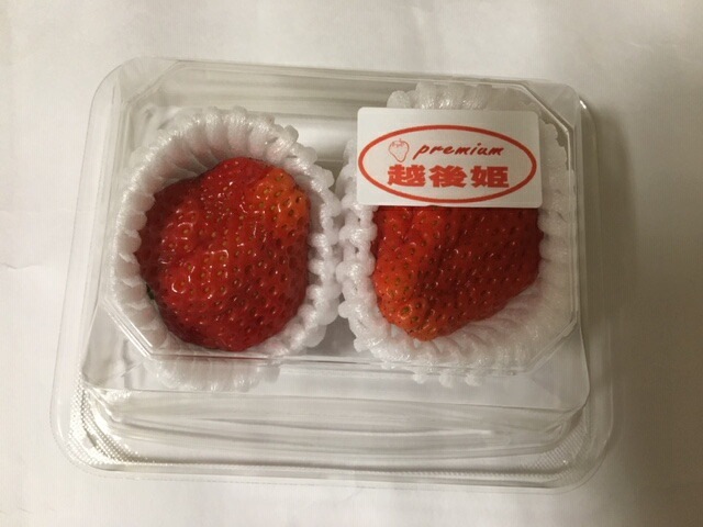 バイオ フルーツキャップ TSW-5 白 【ダブル】5cm 【100個】バイオプラスチック20%配合 果物 緩衝材 保護材 発泡 ネット いちご 苺 キウイ キャップ フルーツ 網 輸送 衝撃 守る 保護 振動