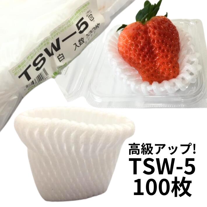 バイオ フルーツキャップ TSW-5 白 【ダブル】5cm 【100個】バイオプラスチック20%配合 果物 緩衝材 保護材 発泡 ネット いちご 苺 キウイ キャップ フルーツ 網 輸送 衝撃 守る 保護 振動