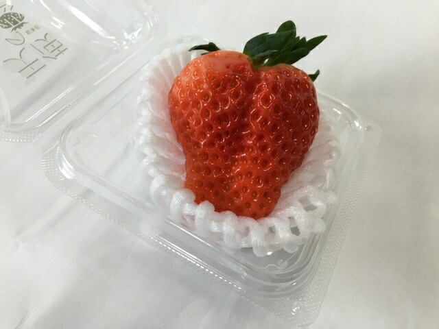 バイオ フルーツキャップ TSW-5 白 【ダブル】5cm 【100個】バイオプラスチック20%配合 果物 緩衝材 保護材 発泡 ネット いちご 苺 キウイ キャップ フルーツ 網 輸送 衝撃 守る 保護 振動