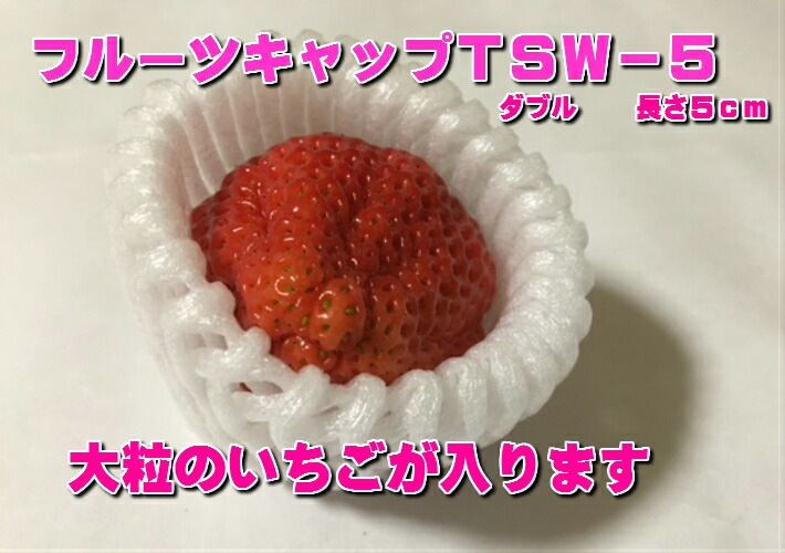 バイオ フルーツキャップ TSW-5 白 【ダブル】5cm 【100個】バイオプラスチック20%配合 果物 緩衝材 保護材 発泡 ネット いちご 苺 キウイ キャップ フルーツ 網 輸送 衝撃 守る 保護 振動