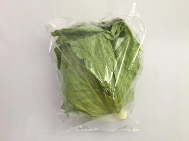 【レタス特大サイズ】新製品 お試し品 オリジナル レタス 特大 向け OPP ボードン 無地 三角袋 0.02×上幅450/下幅300×長400mm 【100枚】【1000枚】レタス キャベツ ブロッコリー 底広 穴なし水抜き付  プラマークなし 防曇袋 野菜袋 出荷袋 三角 OPP ボードン